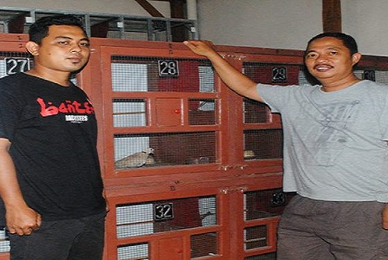 Sebar Produk Berkualitas Harga Terjangkau