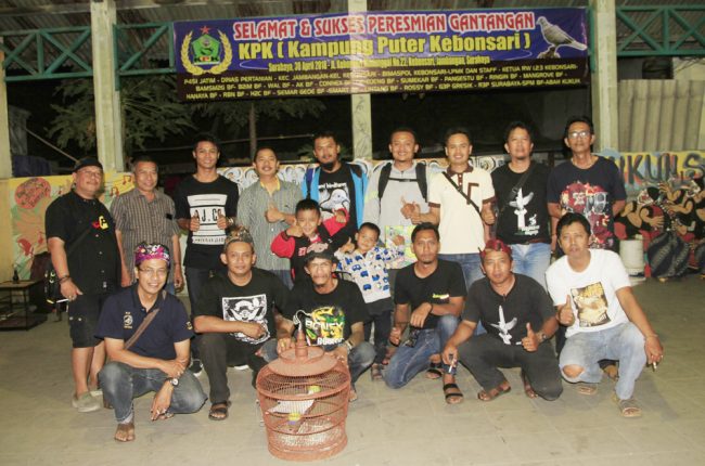 Latber Puter Pelung KPK Agustus Surabaya