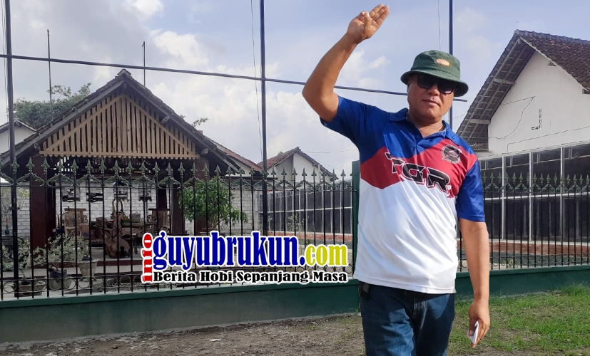 SJ Bird Farm Tulungagung, Tahun 2023 Jadi Masa Kejayaan, Produknya Tembus Tiga Besar Lomba Nasional